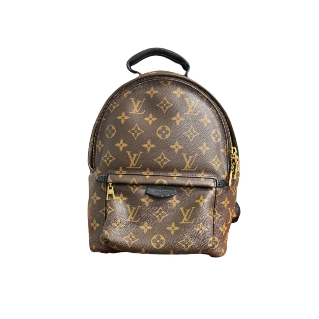 Louis Vuitton Palm Sprinbgs MM Backpack